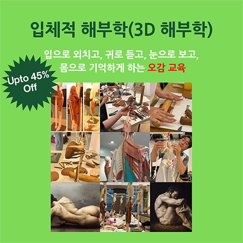 [마감] 3D 입체 해부학 (상지 파트)