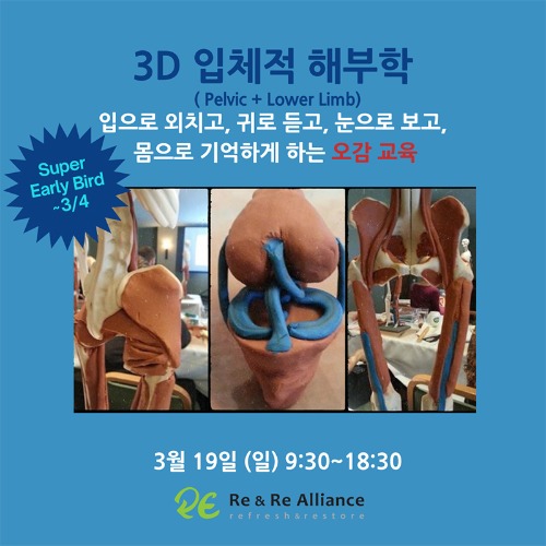 [마감]  03/19 (일) 3D 입체 해부학 - 하지파트 (Pelvic &amp; Lower Limb)