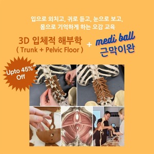 [마감] 3D 입체 해부학 (몸통 파트)