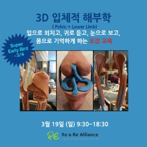 [마감]  03/19 (일) 3D 입체 해부학 - 하지파트 (Pelvic &amp; Lower Limb)